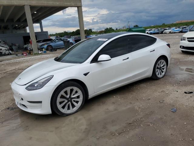 Продаж на аукціоні авто 2021 Tesla Model 3, vin: 5YJ3E1EB7MF049640, номер лоту: 71134125