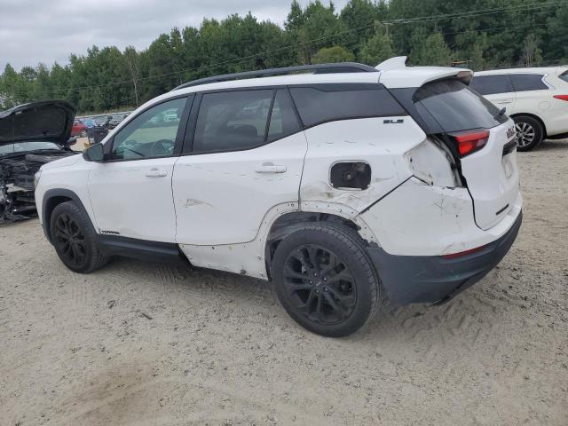 72080815 :رقم المزاد ، 3GKALTEV1KL100331 vin ، 2019 Gmc Terrain مزاد بيع