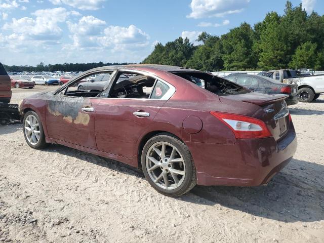Продаж на аукціоні авто 2010 Nissan Maxima, vin: 1N4AA5AP9AC851164, номер лоту: 80085745