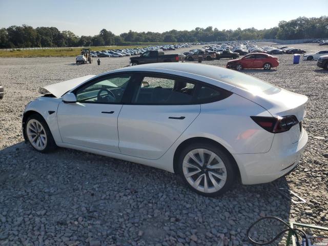 Продажа на аукционе авто 2023 Tesla Model 3, vin: 5YJ3E1EA8PF436399, номер лота: 80632045