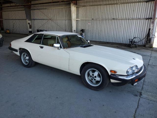 71306185 :رقم المزاد ، SAJNV5845EC113297 vin ، 1984 Jaguar Xjs مزاد بيع