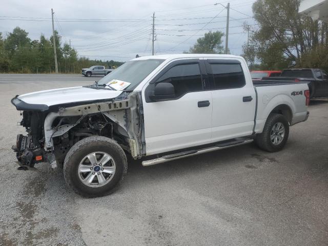 Aukcja sprzedaży 2019 Ford F150, vin: 1FTEW1EP1KFC67843, numer aukcji: 71780255