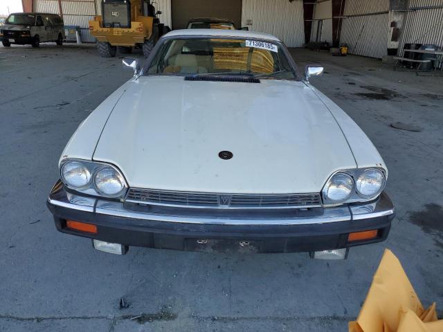 71306185 :رقم المزاد ، SAJNV5845EC113297 vin ، 1984 Jaguar Xjs مزاد بيع
