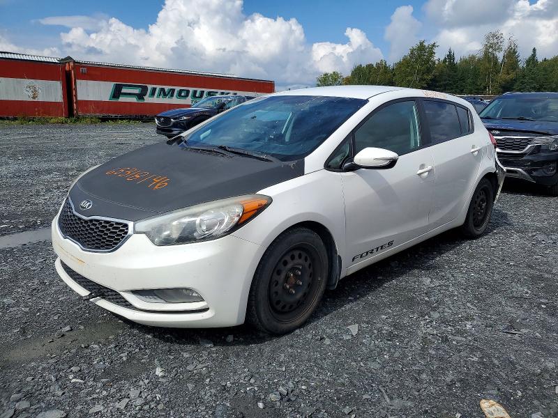 Продаж на аукціоні авто 2016 Kia Forte5, vin: KNAFK5A81G5448716, номер лоту: 65318146