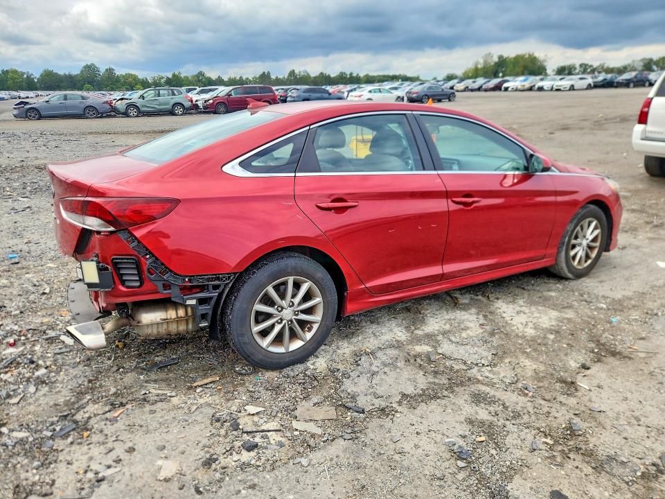 68246876 :رقم المزاد ، 5NPE24AF5KH787155 vin ، 2019 Hyundai Sonata مزاد بيع