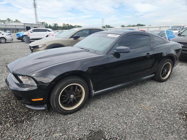 Продажа на аукционе авто 2010 Ford Mustang, vin: 1ZVBP8AN3A5120180, номер лота: 71101996