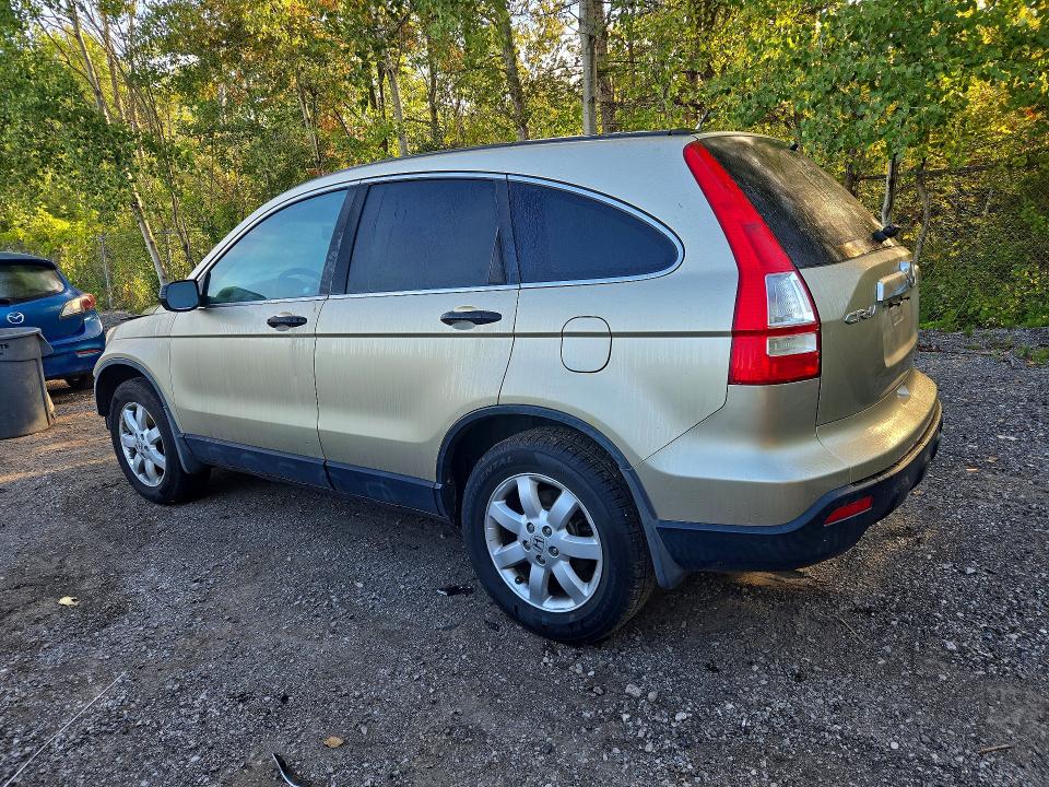 Aukcja sprzedaży 2007 Honda Cr-v, vin: 5J6RE48567L814155, numer aukcji: 65952836