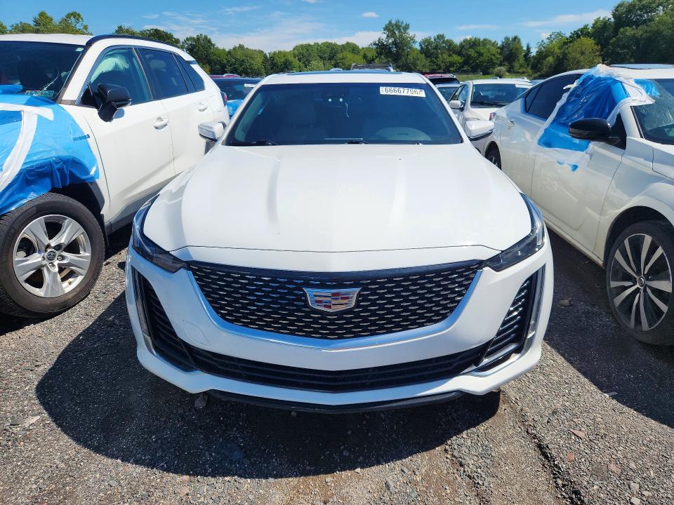 66667796 :رقم المزاد ، 1G6DW5RKXM0144181 vin ، 2021 Cadillac Ct5 مزاد بيع