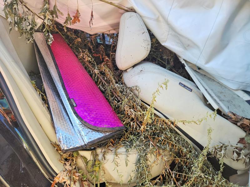 67529456 :رقم المزاد ، JN1EV7AR0KM594147 vin ، 2019 Infiniti Q50 مزاد بيع