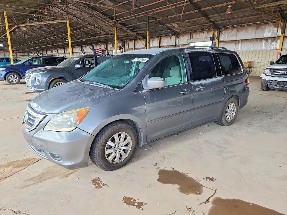 Продаж на аукціоні авто 2009 Honda Odyssey, vin: 5FNRL38459B403428, номер лоту: 69439186