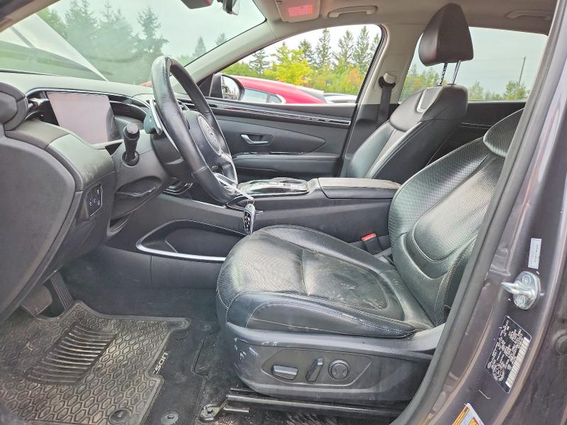2024 Hyundai Tucson მანქანა იყიდება აუქციონზე, vin: KM8JCCD1XRU137013, აუქციონის ნომერი: 66560596