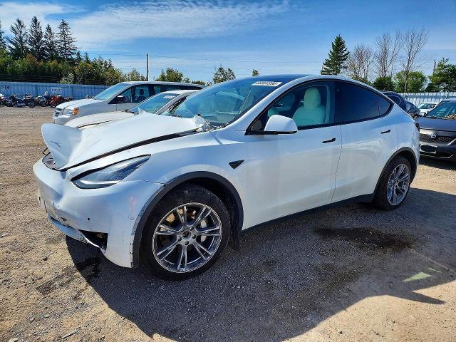 2022 Tesla Model Y მანქანა იყიდება აუქციონზე, vin: 7SAYGDEEXNF439227, აუქციონის ნომერი: 66854996