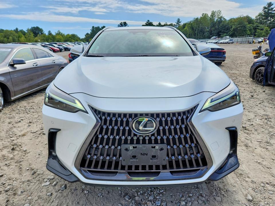 69297896 :رقم المزاد ، 2T2GGCEZ4NC008629 vin ، 2022 Lexus Nx مزاد بيع
