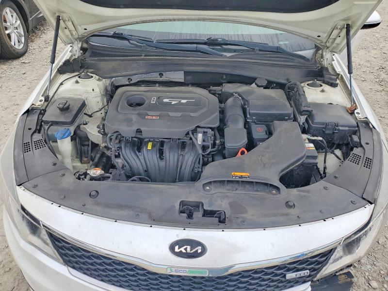 Aukcja sprzedaży 2016 Kia Optima, vin: KNAGT4L38G5098529, numer aukcji: 70946956
