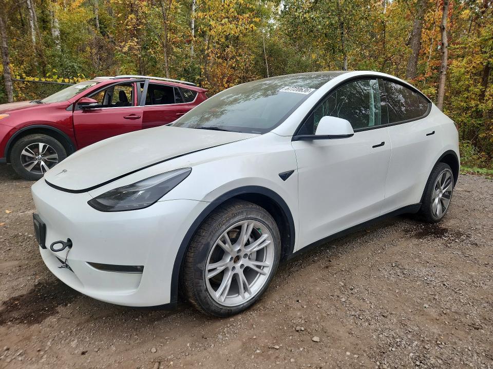 Продажа на аукционе авто 2023 Tesla Model Y, vin: 7SAYGDEE4PF775149, номер лота: 67720636