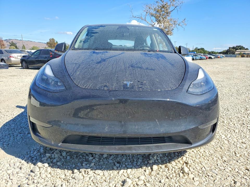 Продаж на аукціоні авто 2024 Tesla Model Y, vin: 7SAYGDEE2RF014249, номер лоту: 65955046