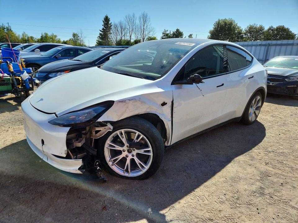 Продажа на аукционе авто 2024 Tesla Model Y, vin: 7SAYGDEE8RF046185, номер лота: 66717156