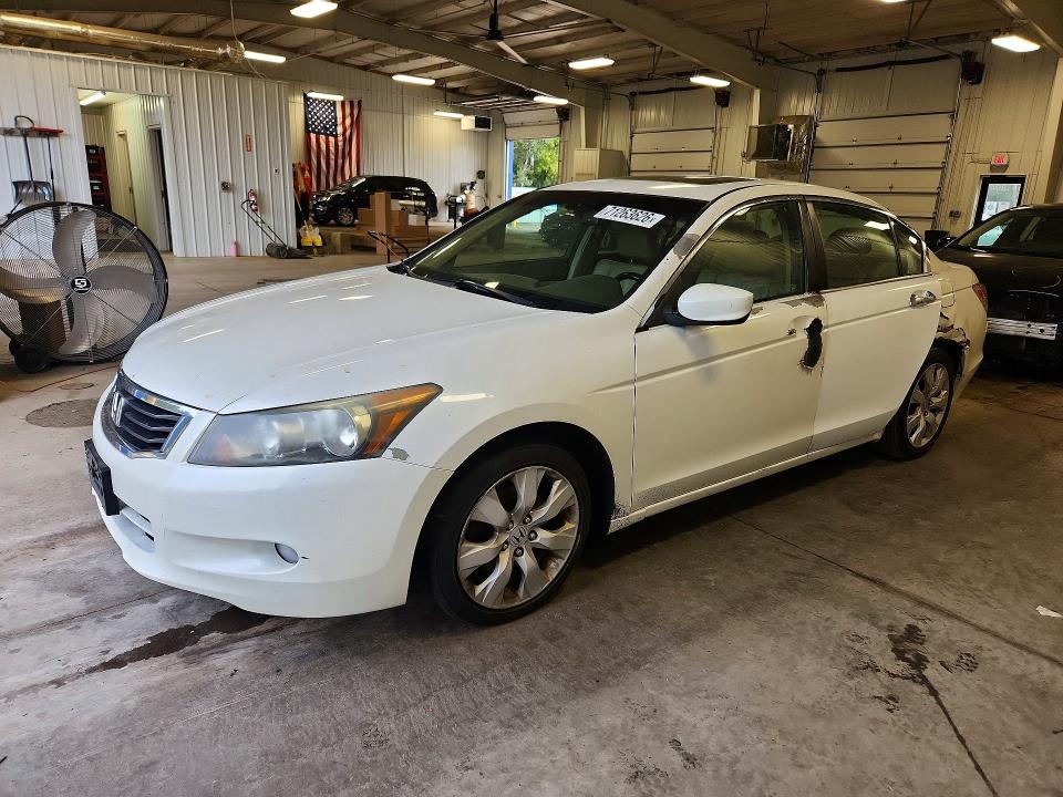 Продаж на аукціоні авто 2010 Honda Accord, vin: 5KBCP3F81AB014016, номер лоту: 71263626