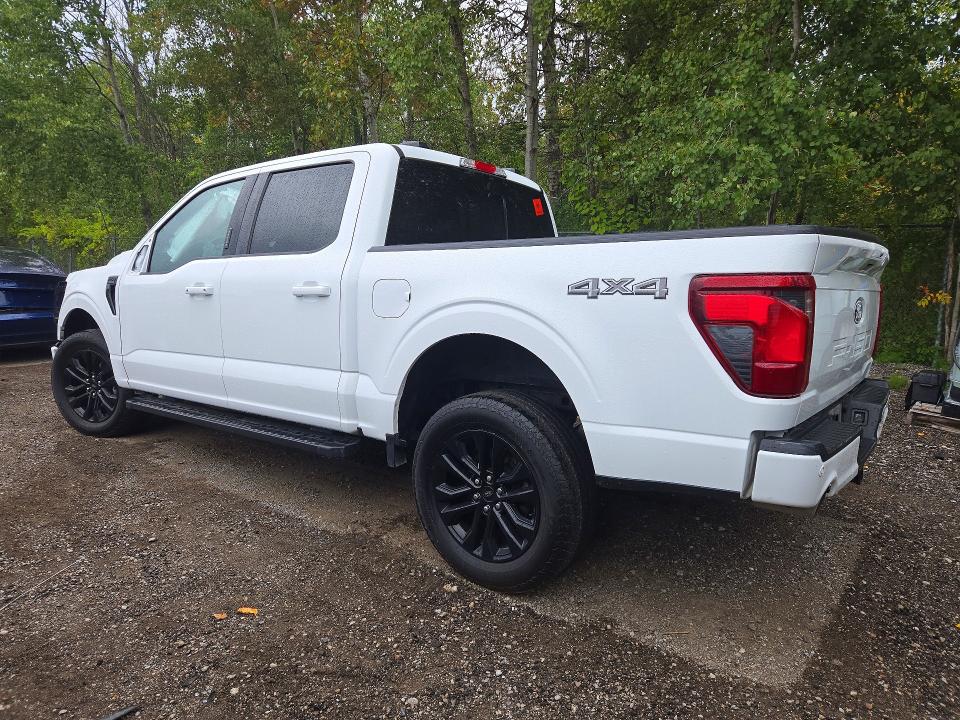 2024 Ford F150 მანქანა იყიდება აუქციონზე, vin: 1FTFW3L5XRFB84469, აუქციონის ნომერი: 67125316