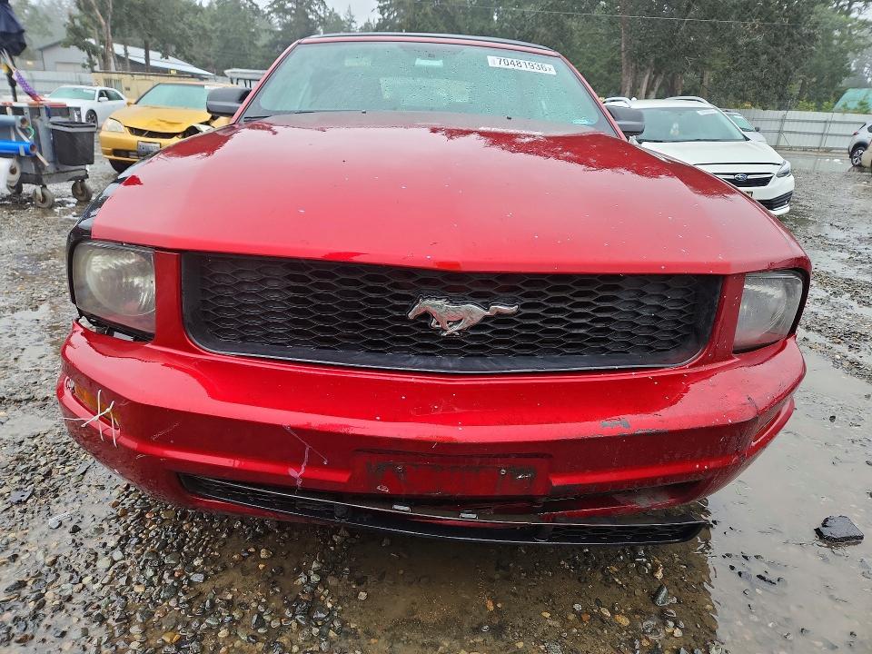 Продажа на аукционе авто 2007 Ford Mustang, vin: 1ZVFT84N875354672, номер лота: 70481936