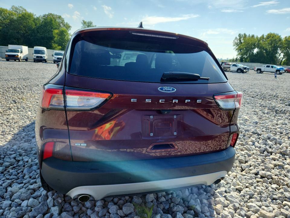 Продаж на аукціоні авто 2021 Ford Escape, vin: 1FMCU0G61MUA67650, номер лоту: 66858956