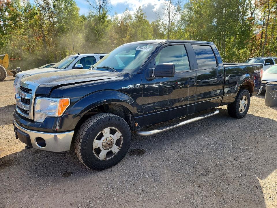 69595746 :رقم المزاد ، 1FTFW1EF4EFC98133 vin ، 2014 Ford F150 مزاد بيع