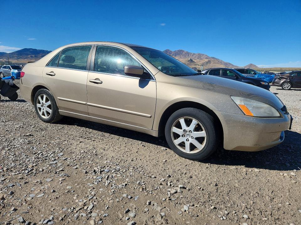 Продаж на аукціоні авто 2005 Honda Accord, vin: 1HGCM66545A031911, номер лоту: 69913996