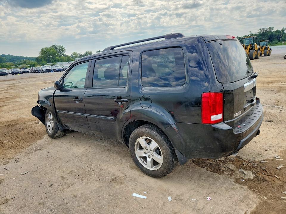 Продаж на аукціоні авто 2010 Honda Pilot, vin: 5FNYF4H58AB029550, номер лоту: 67504966