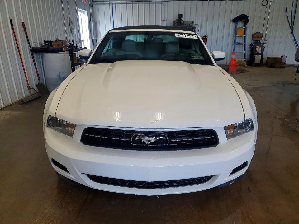 2010 Ford Mustang მანქანა იყიდება აუქციონზე, vin: 1ZVBP8ENXA5119487, აუქციონის ნომერი: 69230586