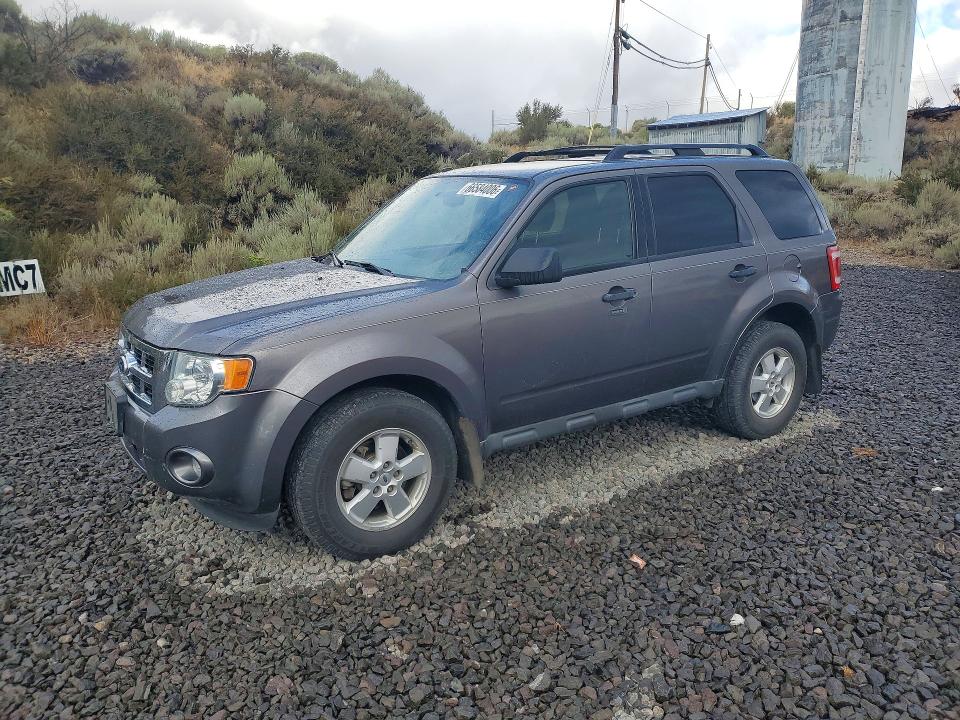 2010 Ford Escape მანქანა იყიდება აუქციონზე, vin: 1FMCU9D71AKC28474, აუქციონის ნომერი: 66584006