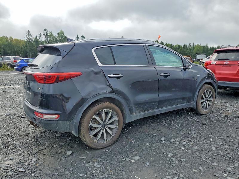 Aukcja sprzedaży 2017 Kia Sportage, vin: KNDPNCAC4H7235613, numer aukcji: 67321596