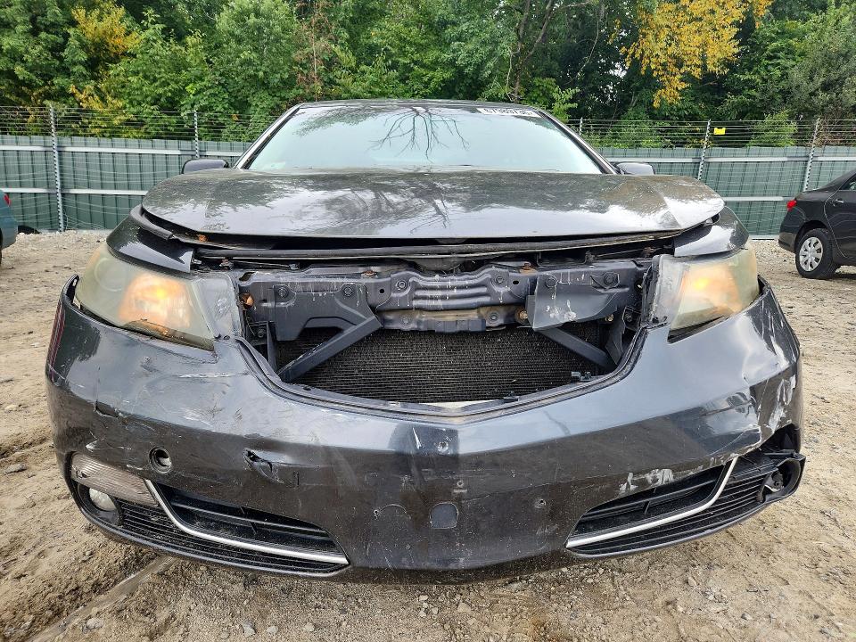 Продаж на аукціоні авто 2013 Acura Tl, vin: 19UUA8F59DA012097, номер лоту: 67989736