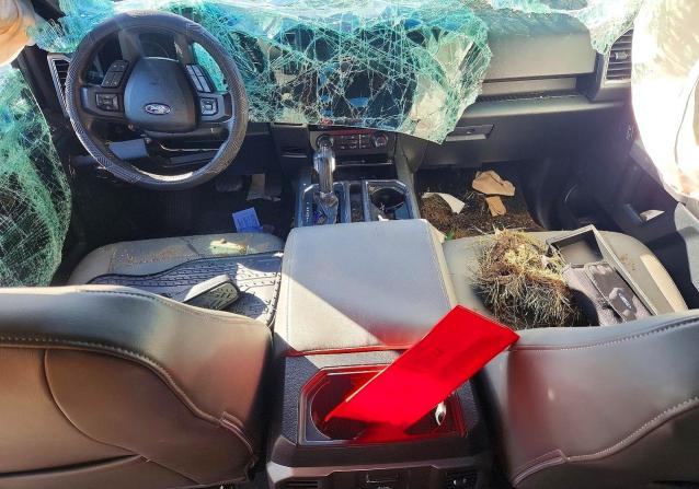 70288476 :رقم المزاد ، 1FTEX1EP3FKE75264 vin ، 2015 Ford F150 مزاد بيع