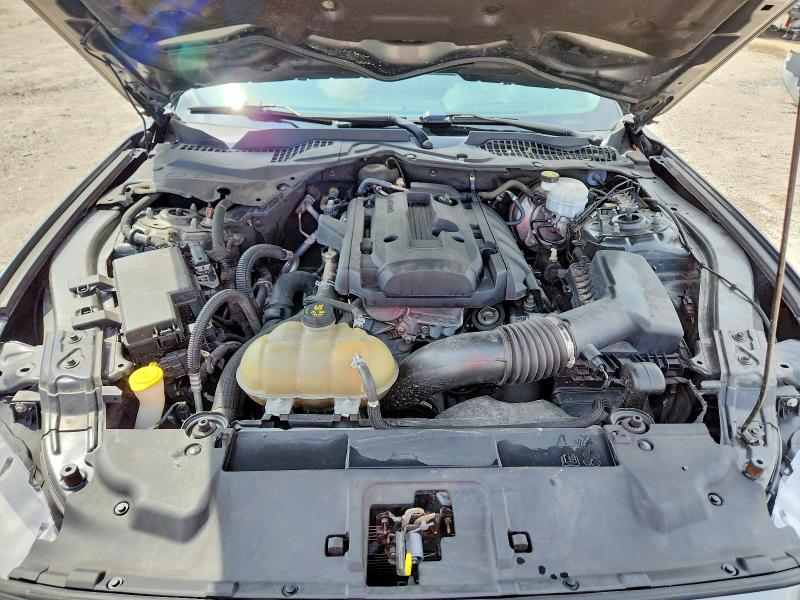 Продаж на аукціоні авто 2019 Ford Mustang, vin: 1FA6P8TH9K5131915, номер лоту: 69896586