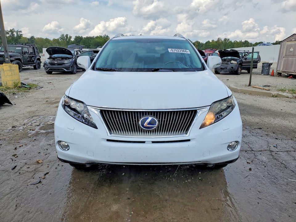 Продаж на аукціоні авто 2010 Lexus Rx, vin: JTJBC1BAXA2019377, номер лоту: 67622966
