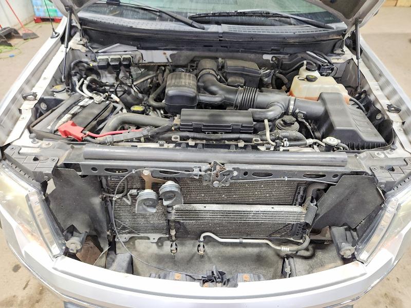 Aukcja sprzedaży 2010 Ford F150, vin: 1FTFX1EV7AFC24087, numer aukcji: 67446706