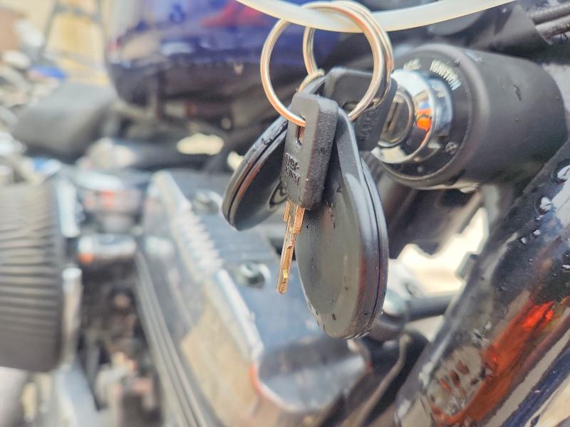 69300436 :رقم المزاد ، 1HD4CMM176K421132 vin ، 2006 Harley-davidson Xl883 مزاد بيع
