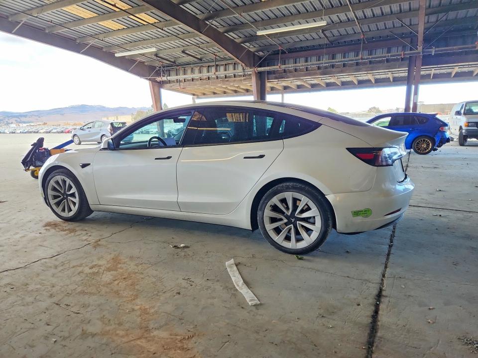 Продаж на аукціоні авто 2023 Tesla Model 3, vin: 5YJ3E1EA2PF430341, номер лоту: 67361456
