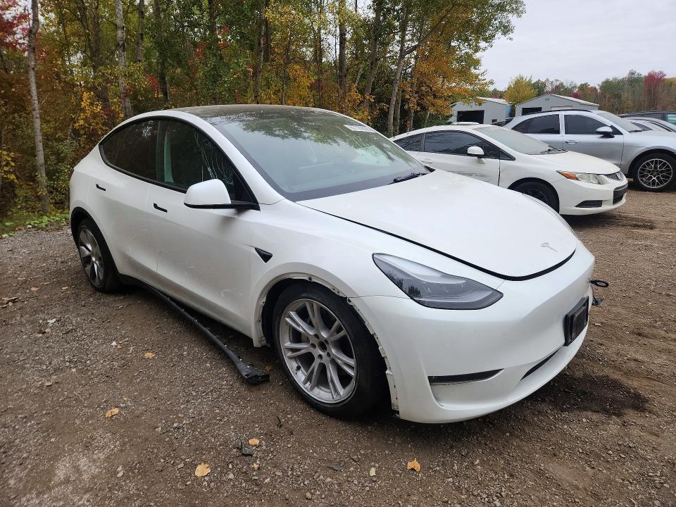 Продажа на аукционе авто 2023 Tesla Model Y, vin: 7SAYGDEE4PF775149, номер лота: 67720636