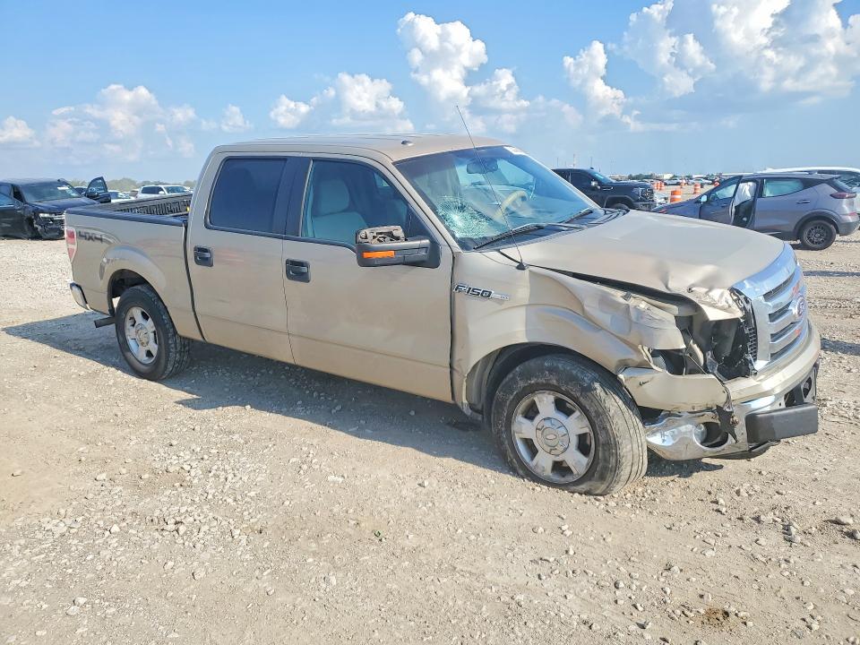 70024596 :رقم المزاد ، 1FTEW1E85AFC78478 vin ، 2010 Ford F150 مزاد بيع