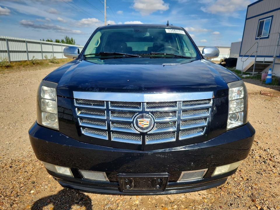 69344006 :رقم المزاد ، 1GYFK66867R267728 vin ، 2007 Cadillac Escalade مزاد بيع