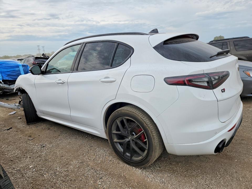 Aukcja sprzedaży 2021 Alfa Romeo Stelvio, vin: ZASPAKBN2M7D12194, numer aukcji: 67753996