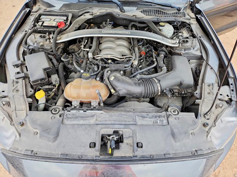 68133846 :رقم المزاد ، 1FA6P8CF1K5101788 vin ، 2019 Ford Mustang مزاد بيع