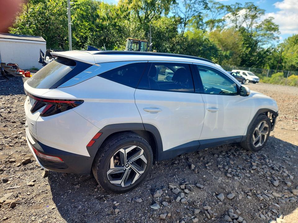 2023 Hyundai Tucson მანქანა იყიდება აუქციონზე, vin: 5NMJECAE8PH197981, აუქციონის ნომერი: 69784846