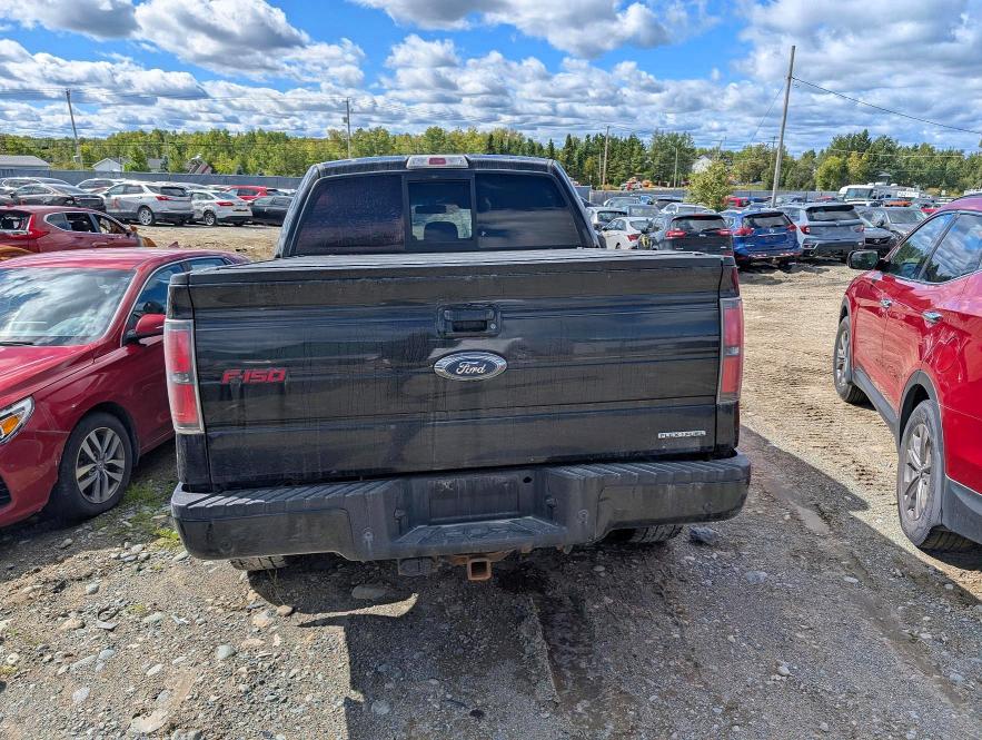 67970766 :رقم المزاد ، 1FTFW1EF3DFD20315 vin ، 2013 Ford F150 مزاد بيع