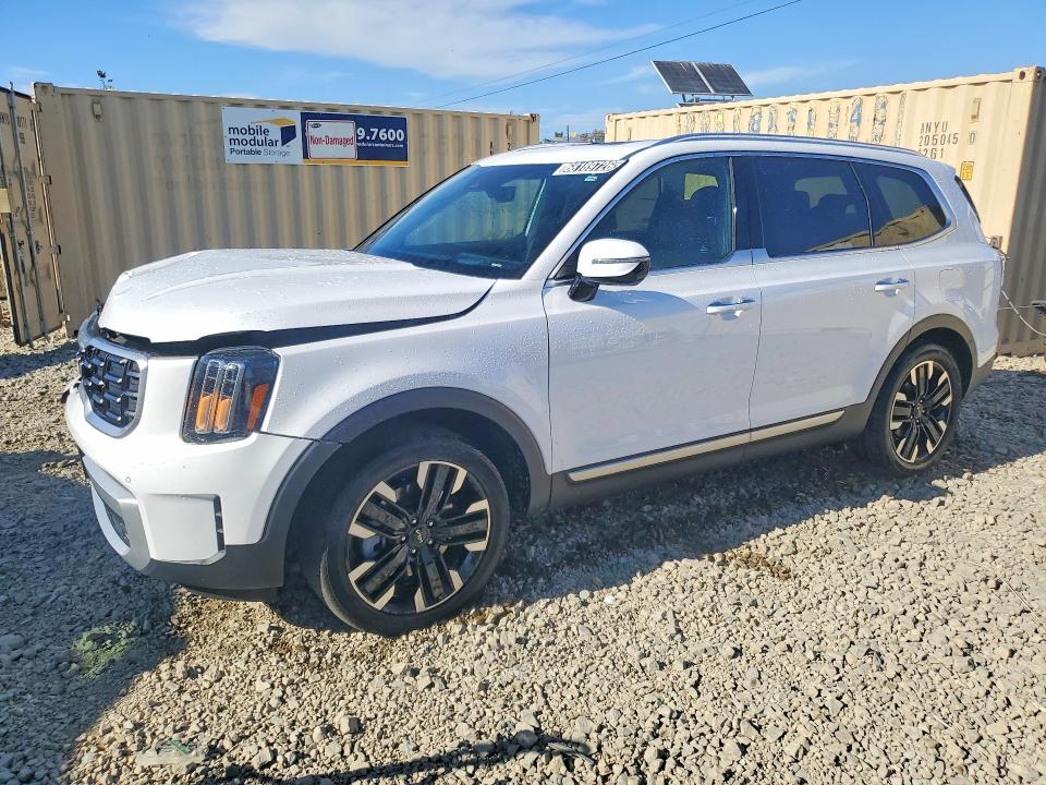 Продаж на аукціоні авто 2024 Kia Telluride, vin: 5XYP5DGC0RG505082, номер лоту: 68189726