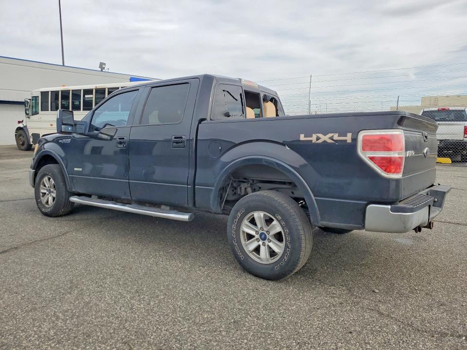 70162736 :رقم المزاد ، 1FTFW1ET0BFA74438 vin ، 2011 Ford F150 مزاد بيع