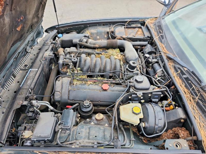 Aukcja sprzedaży 1998 Jaguar Vandenplas, vin: SAJKX6248WC844724, numer aukcji: 69976196