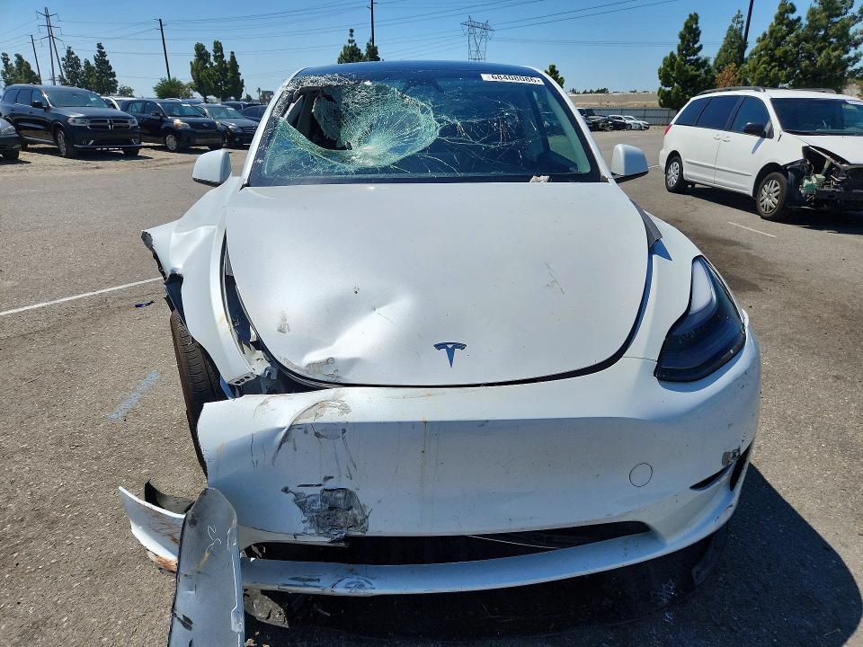 Aukcja sprzedaży 2025 Tesla Model Y, vin: 7SAYGDED8SF282395, numer aukcji: 68408086