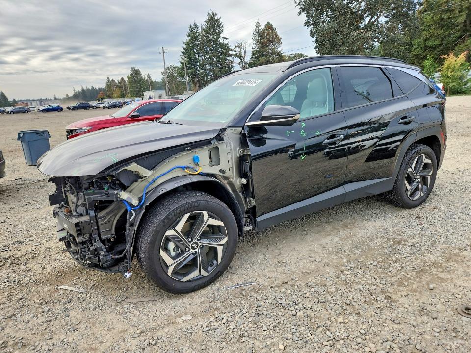 Auction sale of the 2023 Hyundai Tucson, vin: KM8JECA12PU099417, lot number: 69682416